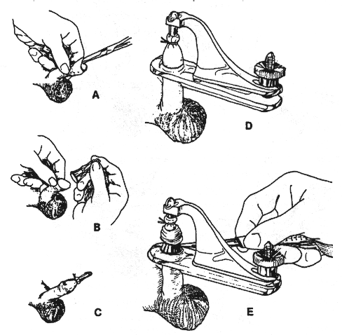 thus ensuring that no goofage and injury to the penis head thus ensuring that no goofage and injury to the penis head