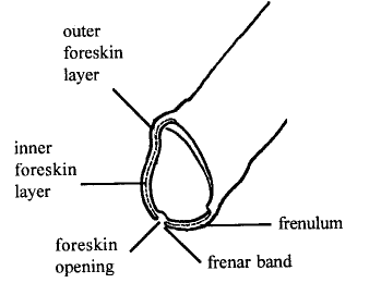 hidden structures (4 Kbytes)